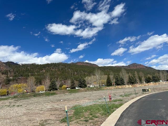 Land for sale in La Plata, Colorado
