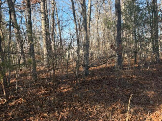 Land for sale in Tennessee