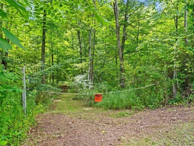 Land for sale in Brooktondale, New York