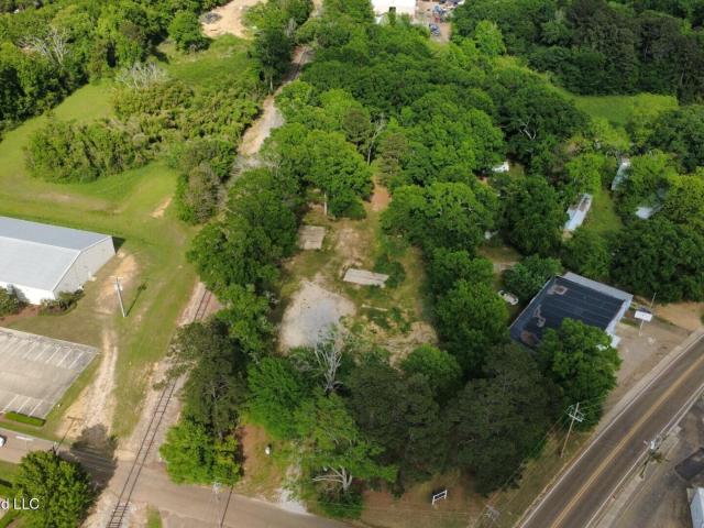 Land for sale in Bogue Chitto, Mississippi