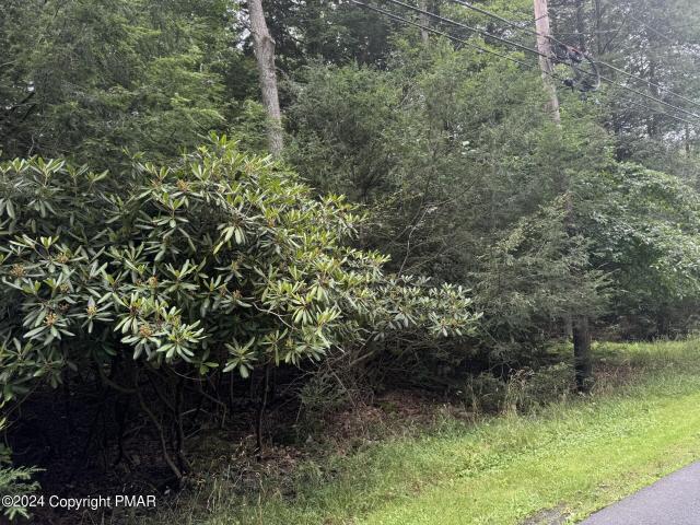 Land for sale in Pocono Summit Land for sale in Pocono Summit