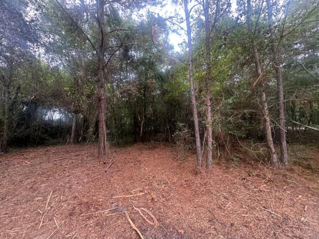 House for sale in Aiken, South Carolina