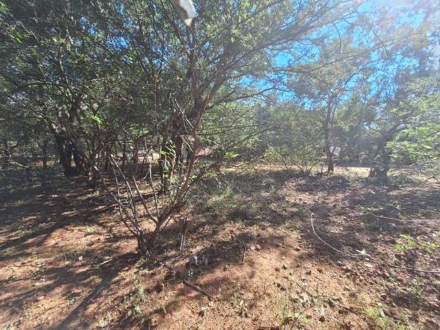 Land for sale in Limpopo