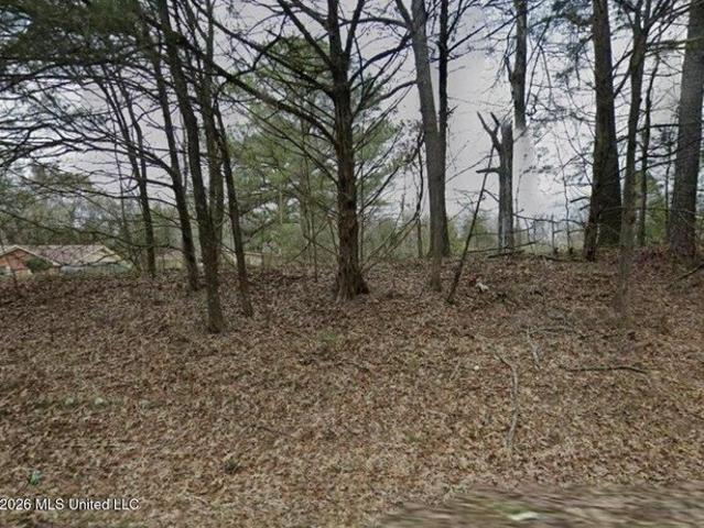 Land for sale in Canton, Madison County