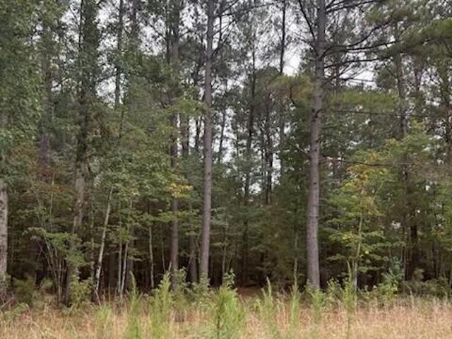 Land for sale in Barnwell, South Carolina
