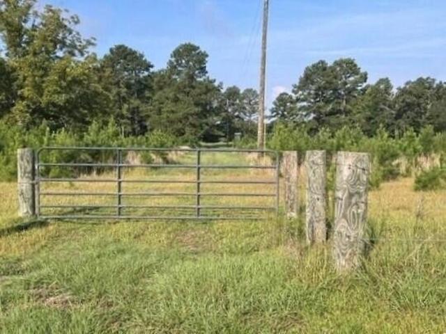 Land for sale in Barnwell, South Carolina
