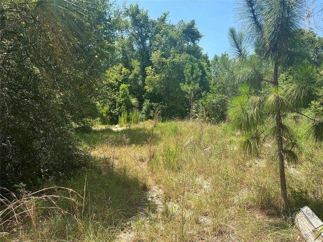 Land for sale in Eustis, Lake County