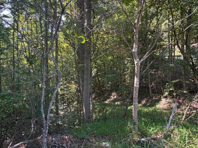 Land for sale in Virginia