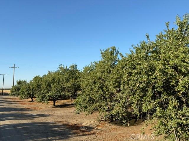 Land for sale in Tulare, California
