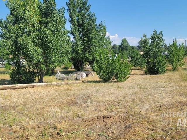 Commercial for sale in Council, Idaho