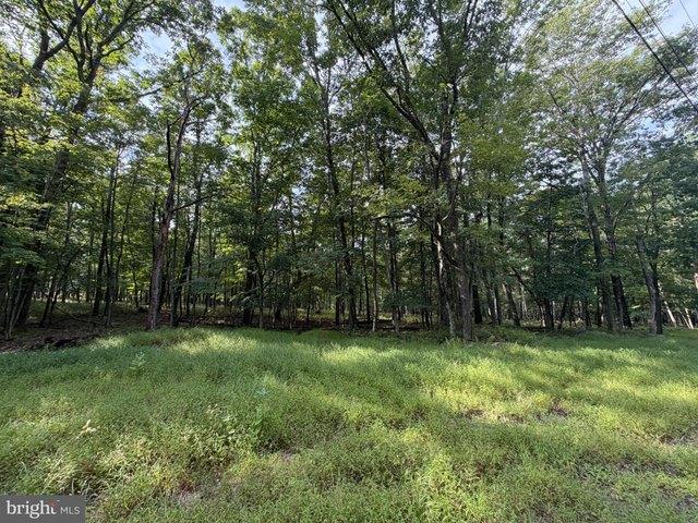 Land for sale in Zion Grove, Pennsylvania
