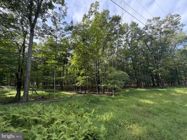 Land for sale in Zion Grove, Pennsylvania