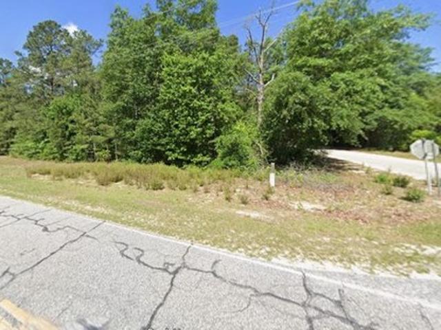 Land for sale in Bethune, South Carolina