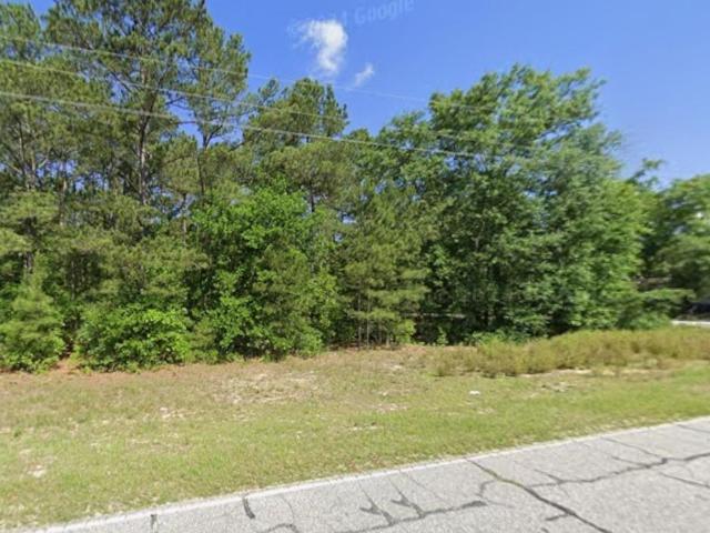 Land for sale in Bethune, South Carolina