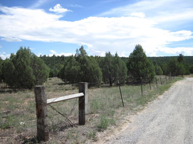 Land for sale in Tijeras, Bernalillo County