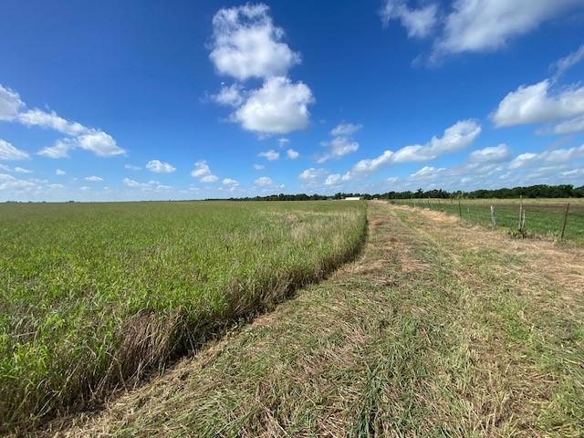 Land for sale in Lott, Texas