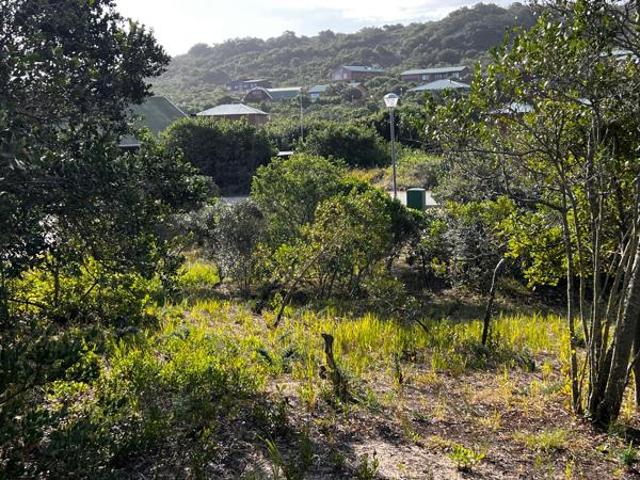 Land for sale in Eastern Cape