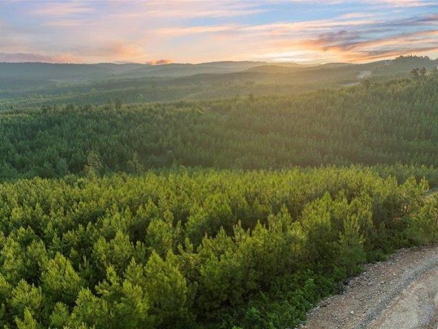 Land for sale in Broken Bow, Oklahoma