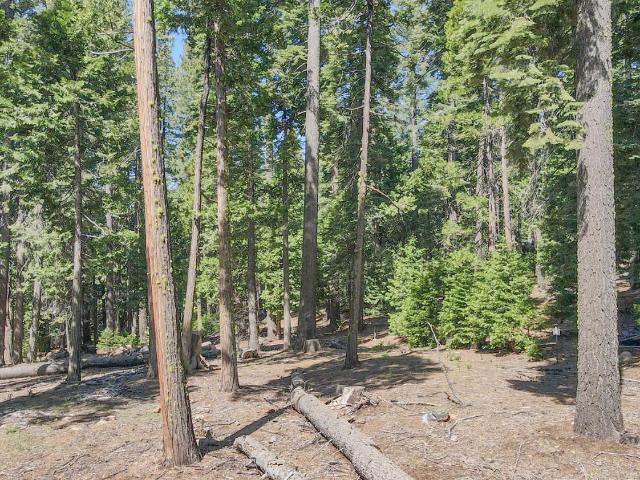 Property for sale in Arnold, California