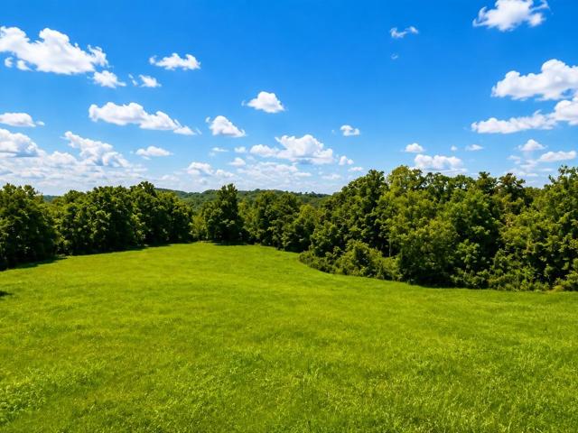Land for sale in Edmonton, Kentucky