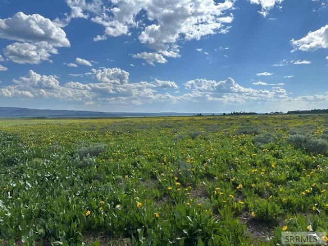 Land for sale in Island Park, Idaho