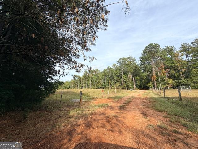 Land for sale in Crawfordville, Taliaferro County