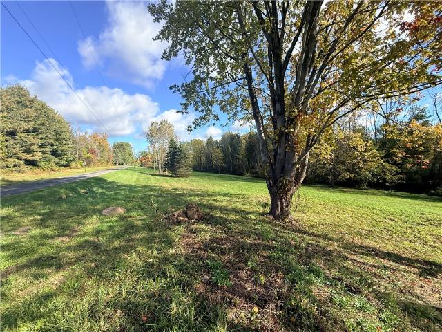 Land for sale in Zurich, Town of Sodus