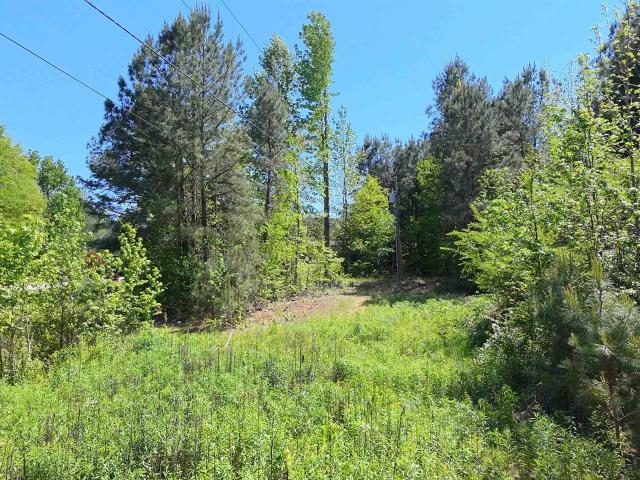 Land for sale in Boaz, Marshall County