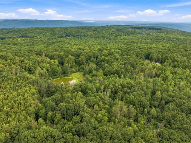 Land for sale in New York