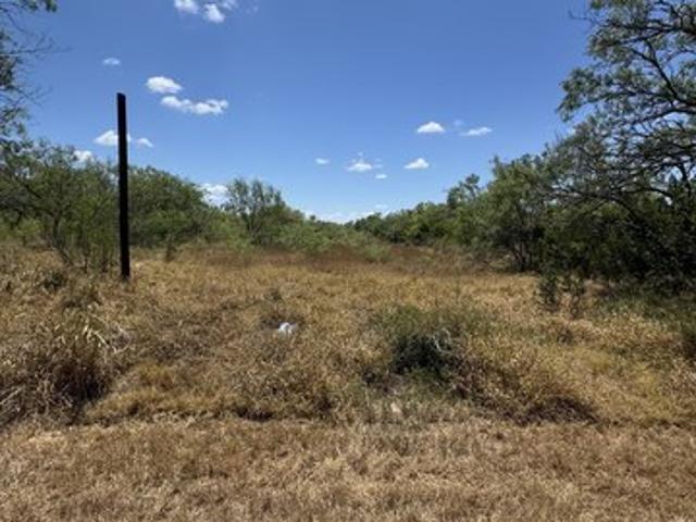 Land for sale in Christine, Texas