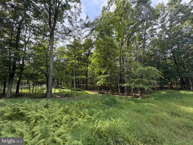 Land for sale in Oneida, Pennsylvania