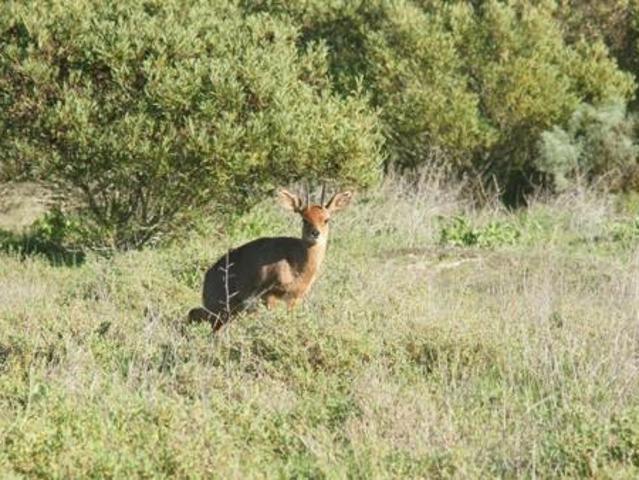 Land for sale in Western Cape
