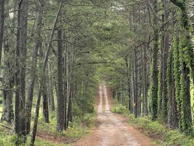 Farm for sale in Ark