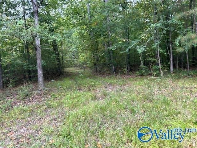 Land for sale in Etowah, Alabama