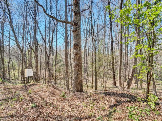 Land for sale in Beverly Hills, Easley