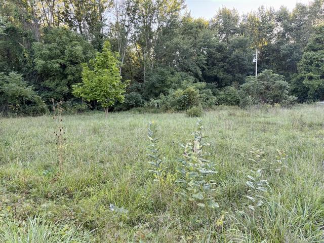 Land for sale in Leighton Township, Allegan County