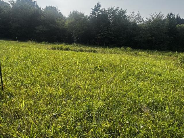 Land for sale in Tennessee