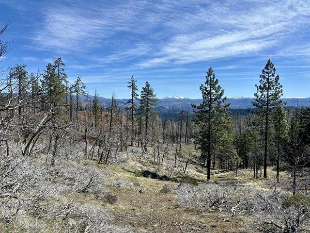 Land for sale in Zenia, California