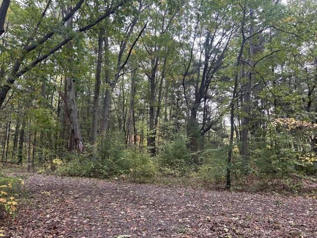 Land for sale in Coloma, Michigan