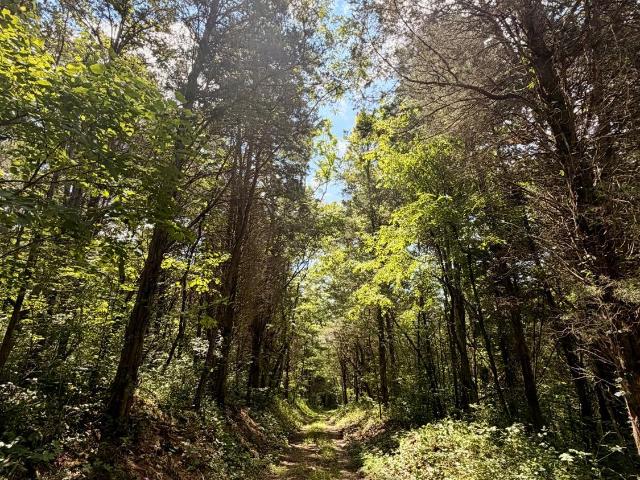 Land for sale in Manchester, Ohio