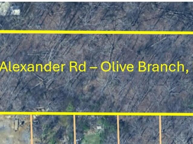 Land for sale in Olive Branch, DeSoto County