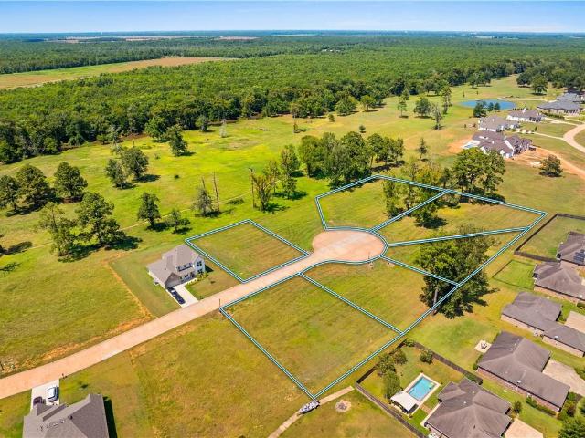 Land for sale in Woodworth, Rapides Parish