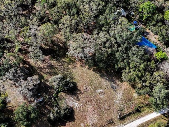 Land for sale in Crystal Springs, Florida