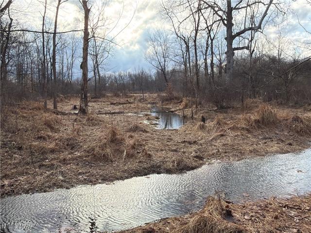 Land for sale in Rock Creek, Ohio