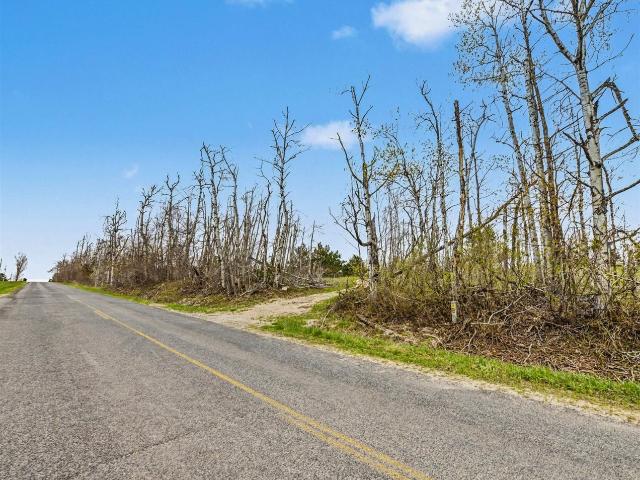 Land for sale in Michigan