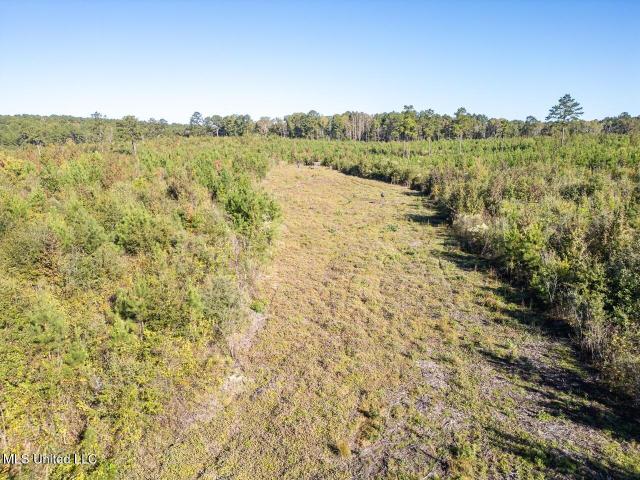 Land for sale in Liberty, Mississippi