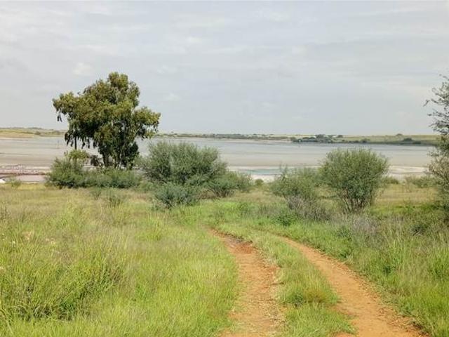 Farm for sale in Lejweleputswa, Free State