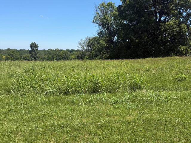Land for sale in Versailles, Kentucky