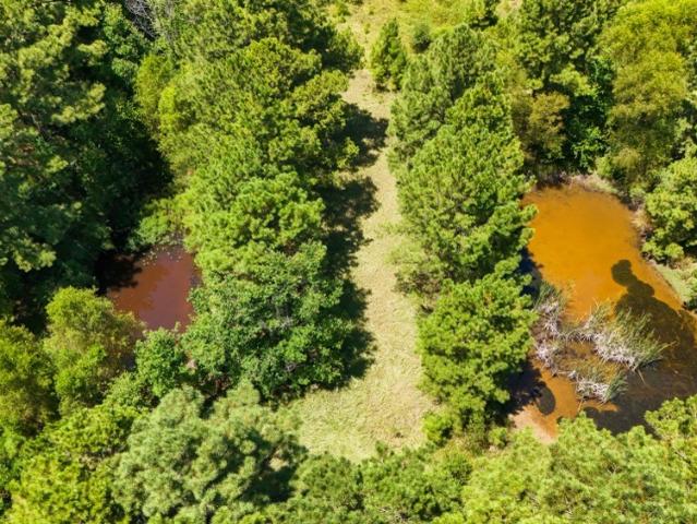 Land for sale in Doucette, Texas