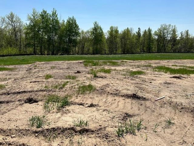 Land for sale in Avon, Minnesota